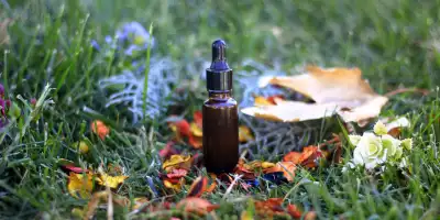 Propolis Damla Nedir?