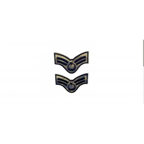 Astüm Hava Kuvvetleri Kamuflaj Rütbesi