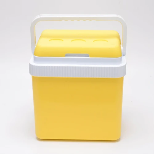 Icepeak SF26 Taşıma Çantası Buzluk 26 Litre-SARI