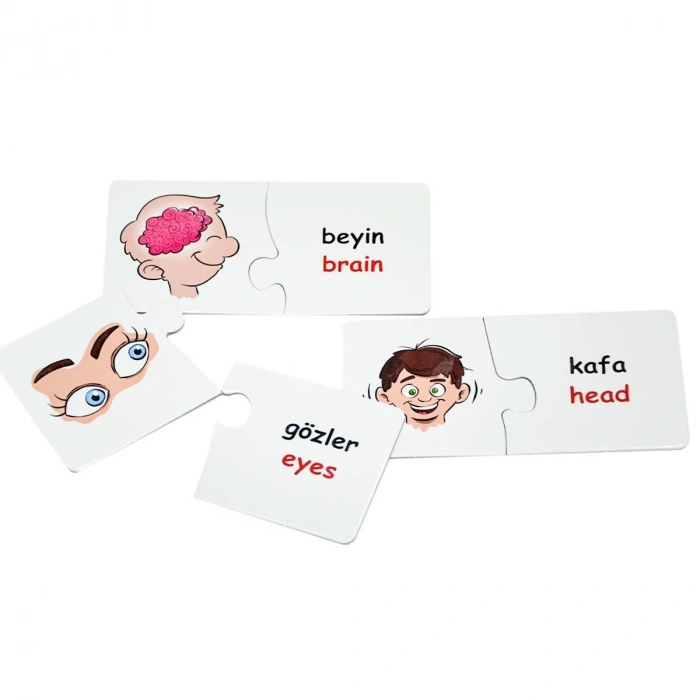 EDU-1008 Eşleştir Vücudumuz -Chiva