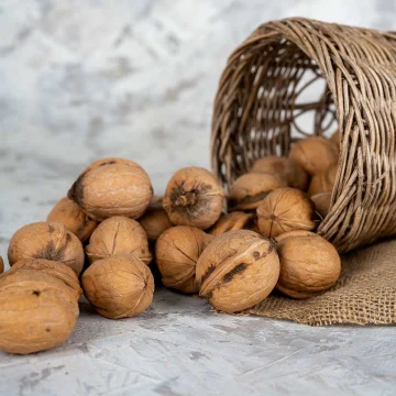 Kabuklu Ceviz (Maraş)