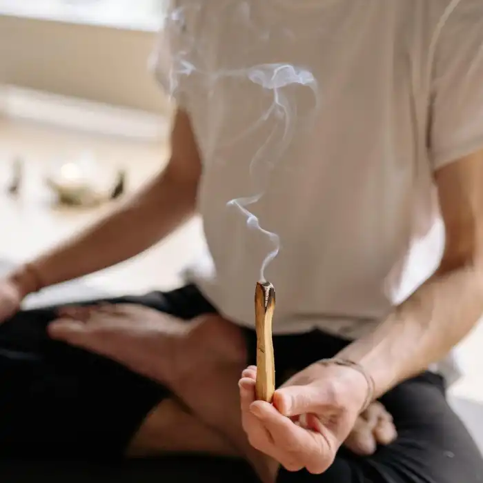 Palo Santo Tütsü / 25 gr.