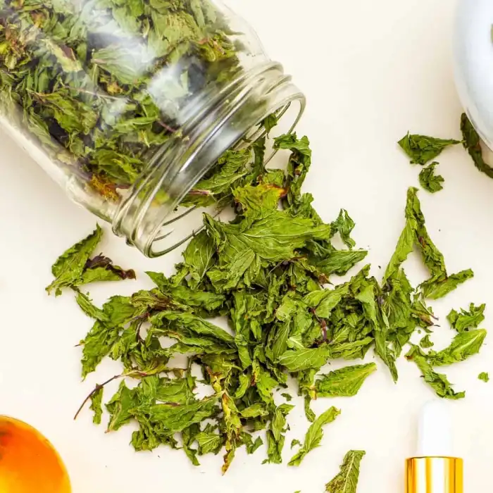 Tıbbi Nane / 50 gr.