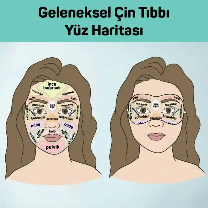 Tiroid ve Göz Hint Yağı Sargı Bezi