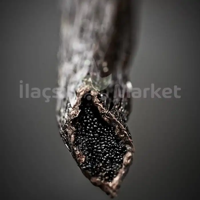 Vanilya Çubuğu 1 Tüp (Madagaskar Gurme Siyah Vanilya)