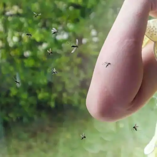 Doğal Sinek Kovucu Vücut Losyonu / 100 ML