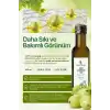 Üzüm Çekirdeği Yağı Soğuk Sıkım (Grape Seed) – Vitis Vinifera / 100 ml