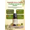 Akgünlük Uçucu Yağı (Frankincense) – Boswellia Serrata / 10 ml (Tıbbi)