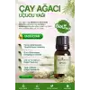 Çay Ağacı Yağı / 10 ml (Tıbbi)