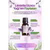 Lavanta Yağı (Angustofolia) / 10 ml (Tıbbi)