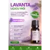 Lavanta Yağı (Angustofolia) / 10 ml (Tıbbi)