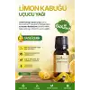 Limon Kabuğu Yağı / 10 ml (Tıbbi)