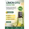 Limon Otu Yağı / 10 ml (Tıbbi)