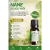 Nane Yağı / 10 ml (Tıbbi)