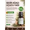 Sedir Ağacı Yağı / 10 ml (Tıbbi)