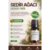 Sedir Ağacı Yağı / 10 ml (Tıbbi)
