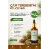 ÇAM TEREBENTİN UÇUCU YAĞI (Pinus sylvestris) – %100 Saf & Doğal / 20 ml