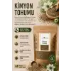 Kimyon Tohumu / 50 gr.
