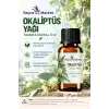 Okaliptüs Yağı (Eucalyptus Globulus) / 10 ml