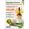 Zentravit Shine Vegan Vitamin D3 + K2 (Liken Kaynaklı) 20 ml