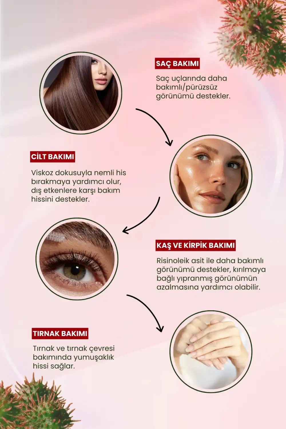 3’lü Sinerji Bakım Seti: Hint Yağı + Jojoba + Akgünlük (%100 Saf & Soğuk Sıkım)