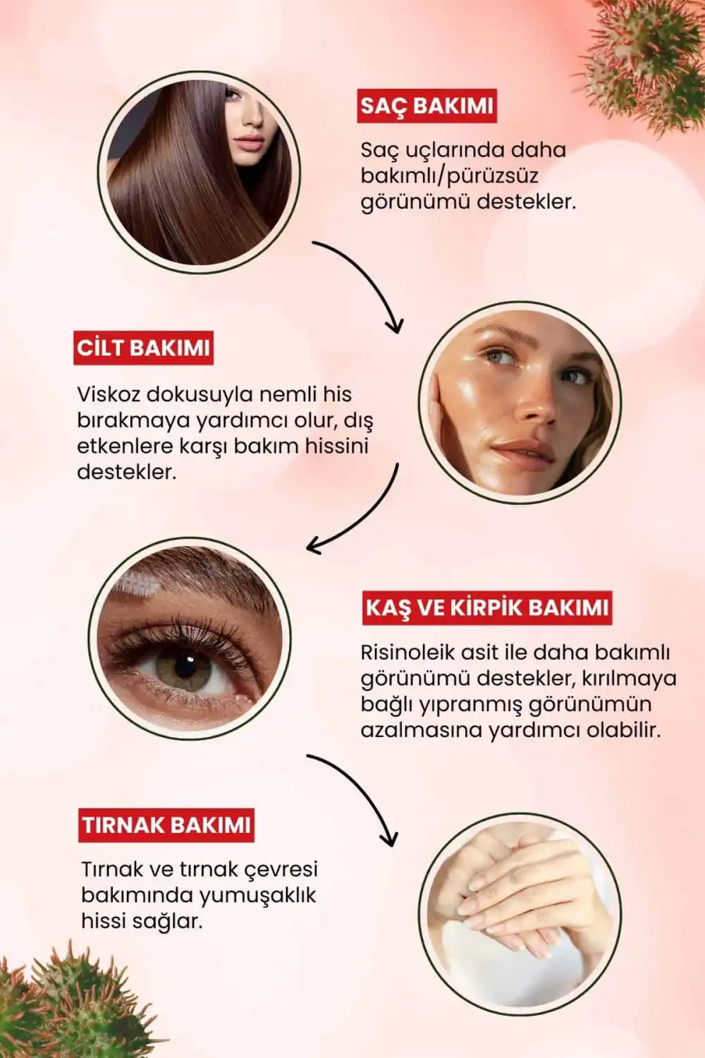 3’lü Sinerji Bakım Seti: Hint Yağı + Jojoba + Akgünlük (%100 Saf & Soğuk Sıkım)