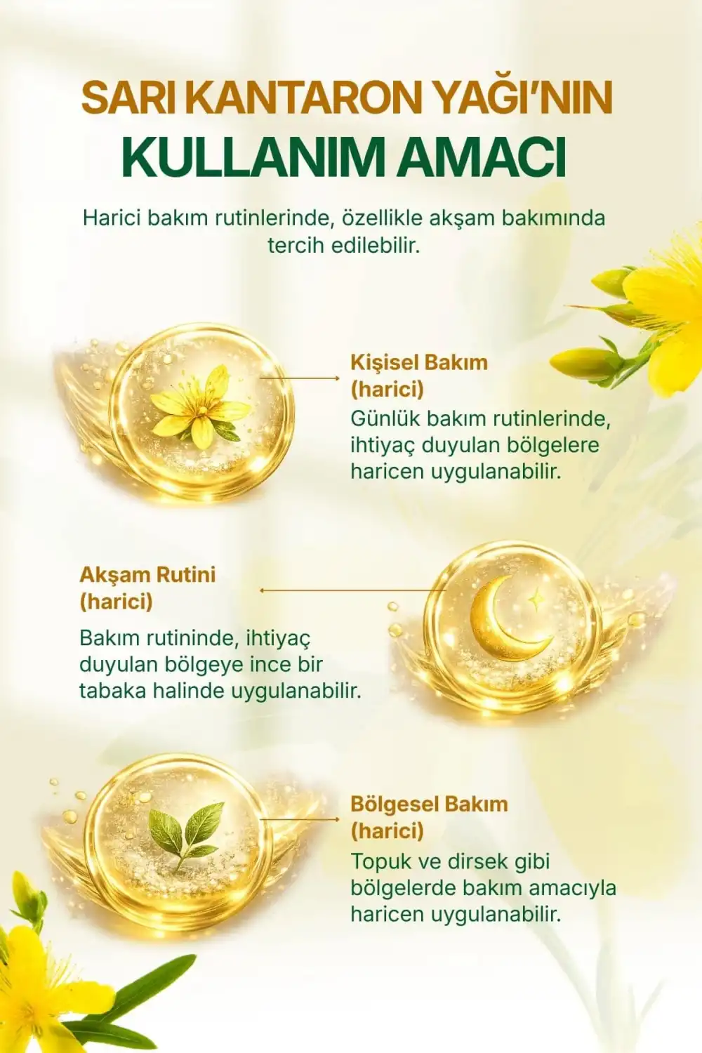 SARI KANTARON YAĞI MASERASYON (Kırmızı / Taze Çiçek) – %100 Doğal / 100 ml