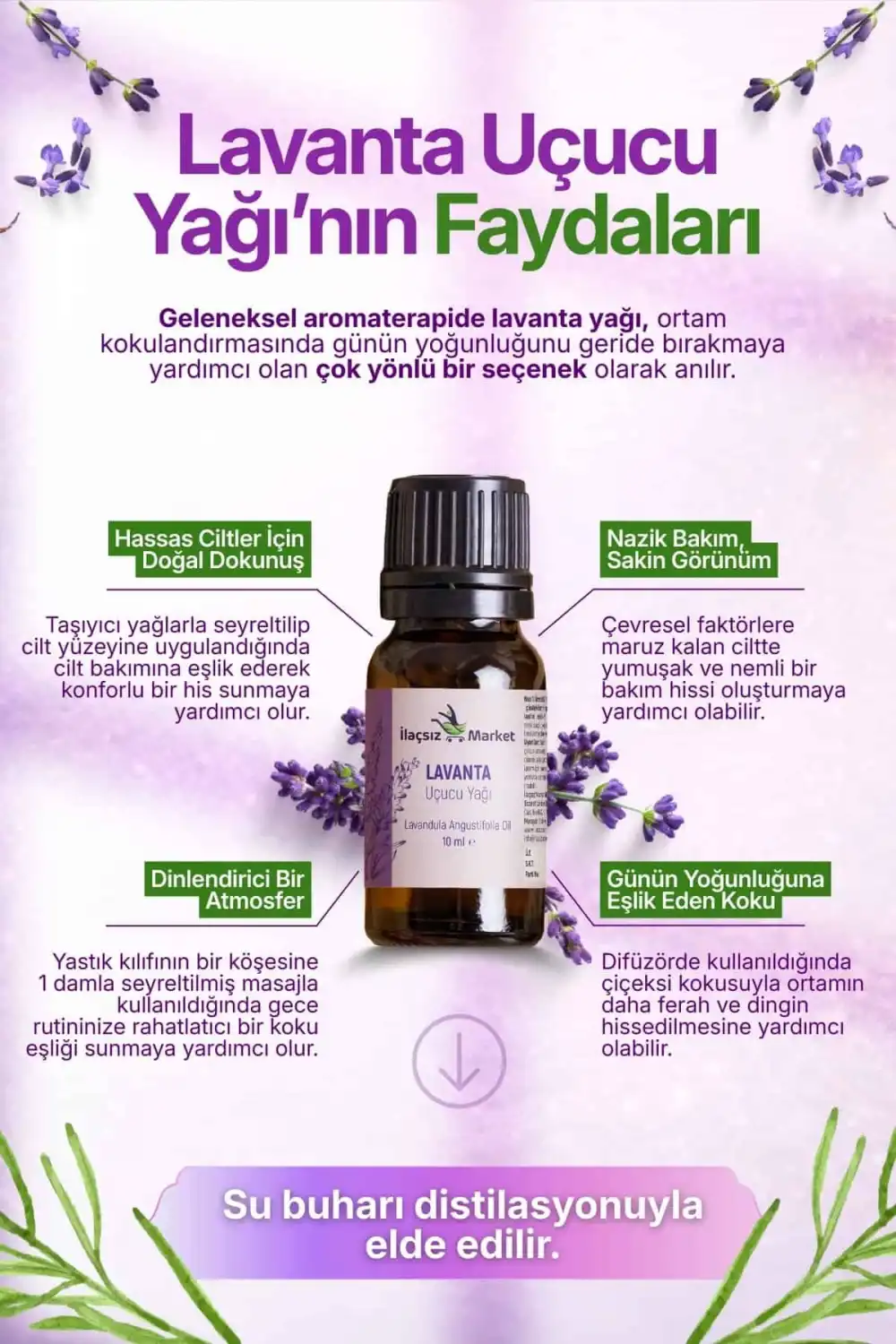 Lavanta Yağı (Angustofolia) / 10 ml (Tıbbi)