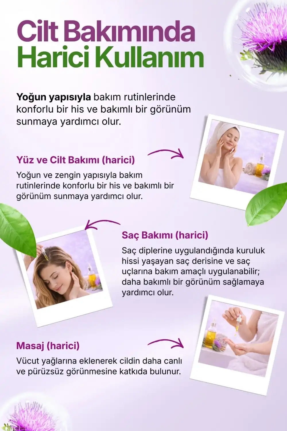 DEVE DİKENİ YAĞI SOĞUK SIKIM (Silybum marianum) – %100 Saf & Doğal / 100 ml