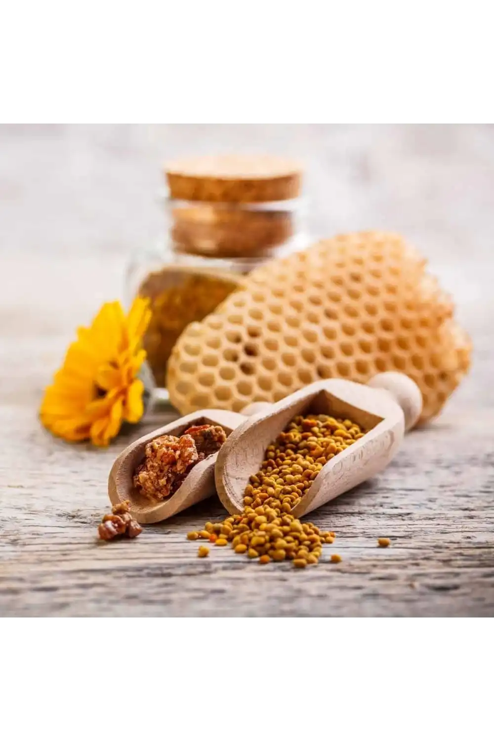 Doğal Arı Poleni / 100 gr