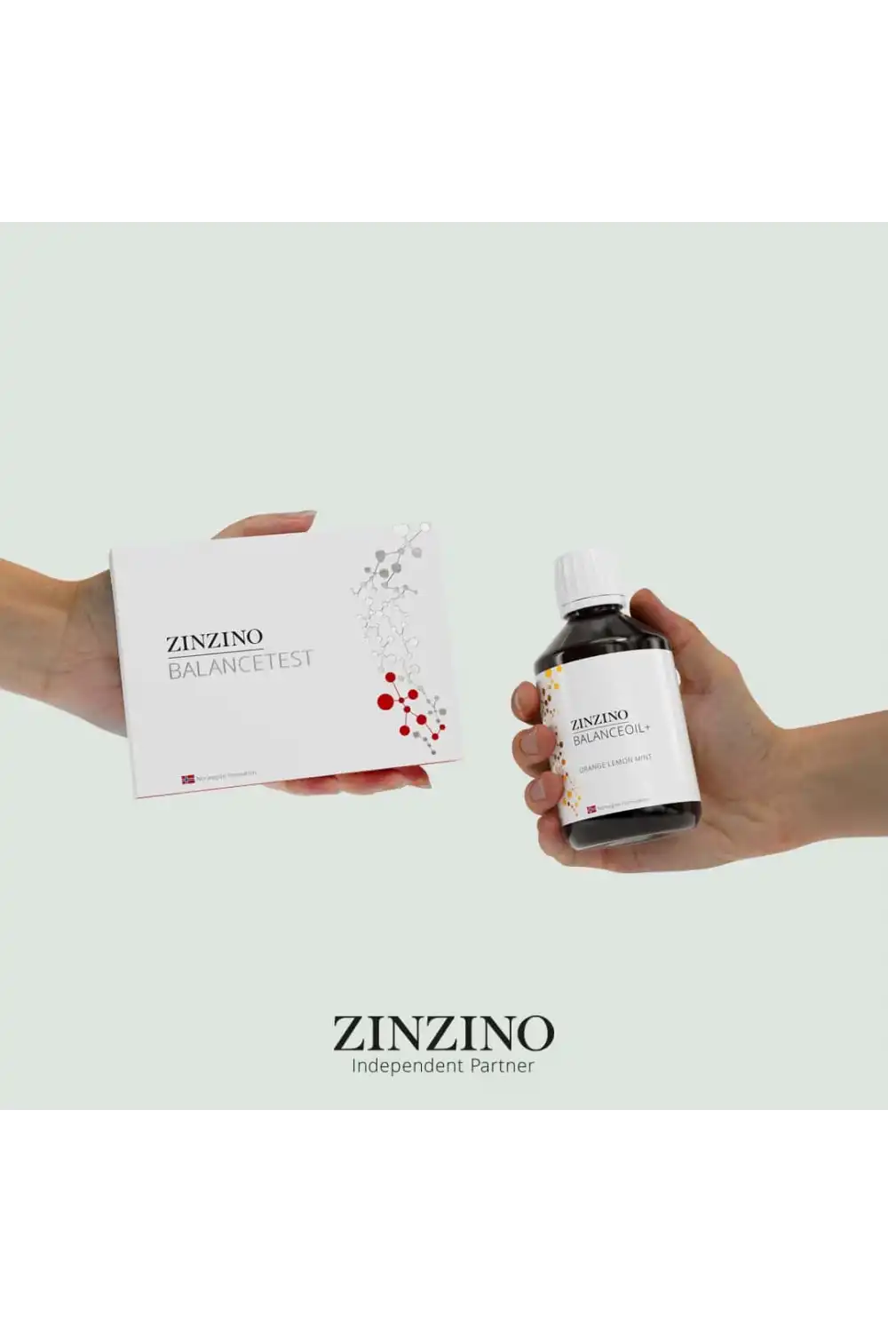 Zinzino Balance Test