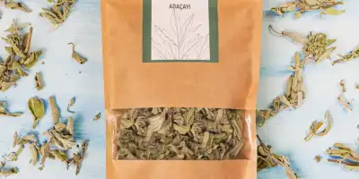 Adaçayı: Faydaları, Kullanımı ve Yan Etkileri
