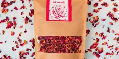 Gül Yaprak: Faydaları, Kullanımları ve Yan Etkileri