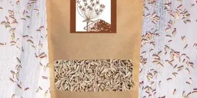 Kimyon Tohumu: Faydaları, Kullanımları ve Yan Etkileri