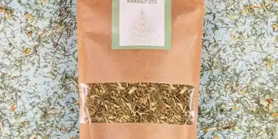 Kırkkilit Otu (At Kuyruğu): Faydaları, Kullanımları ve Yan Etkileri