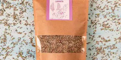 Lavanta: Faydaları, Kullanımları ve Yan Etkileri