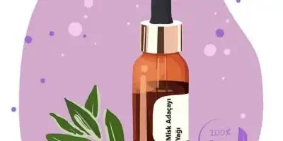 Misk Adaçayı Yağı: Faydaları, Kullanımları ve Yan Etkileri