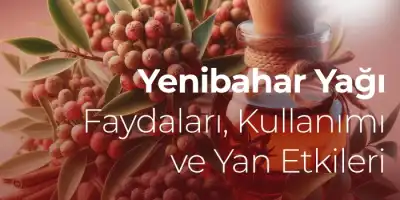 Yenibahar Yağı Faydaları, Kullanımı ve Yan Etkileri