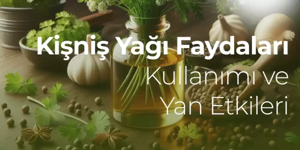 Kişniş Yağı Faydaları, Kullanımı ve Yan Etkileri