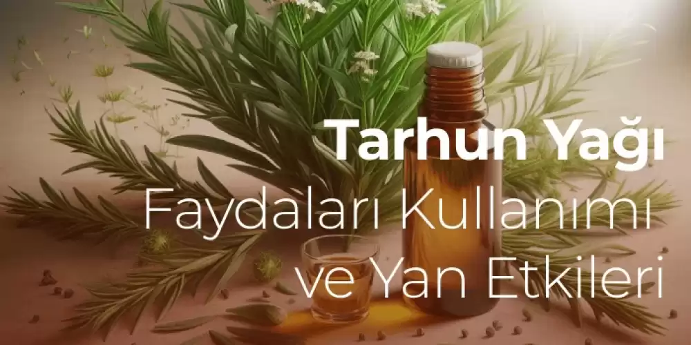 Tarhun Yağı Faydaları, Kullanımı ve Yan Etkileri