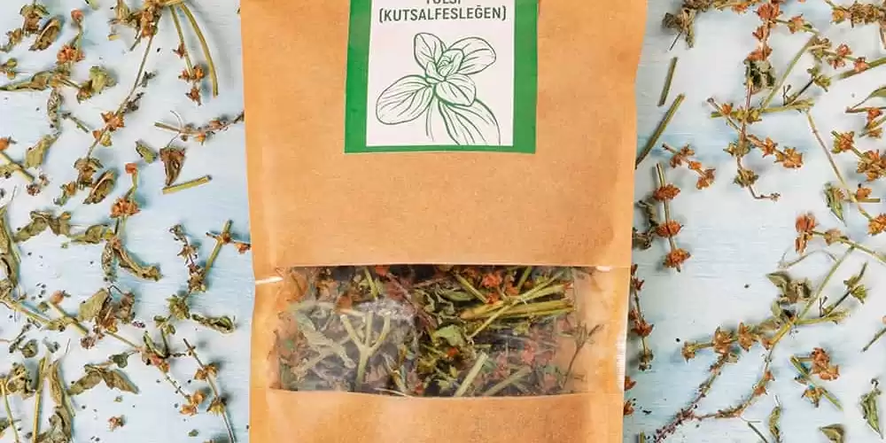 Tulsi (Kutsal Fesleğen): Faydaları, Kullanımları ve Yan Etkileri