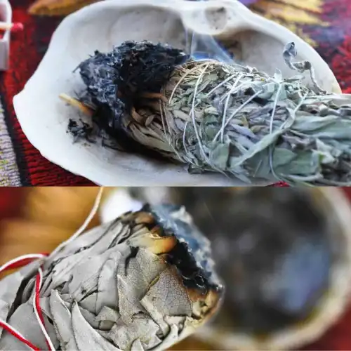 Adaçayı Tütsüsü / 1 Demet