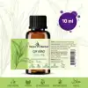 Çay Ağacı Yağı / 10 ml (Tıbbi)