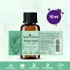 Niaouli Yağı / 10 ml (Tıbbi) (Nioli diye okunur)