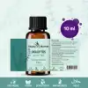 Okaliptüs Yağı / 10 ml (Tıbbi)