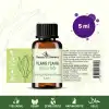 Ylang Ylang Yağı / 5 ml (Tıbbi)