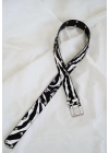 Zebra Kemer