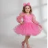 Kız Çocuk Pembe Şeffaf Üstlü Flok Tüllü Kabarık Elbise