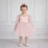 Kız Çocuk Pudra Şeffaf Üst Flok Tül Tütü Kabarık Elbise