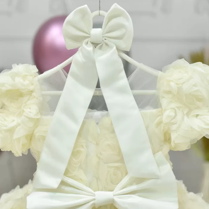 Kız Çocuk Krem Kuyruklu Şeffaf Gül Desenli Kısa Balon Kol Elbise Abiye